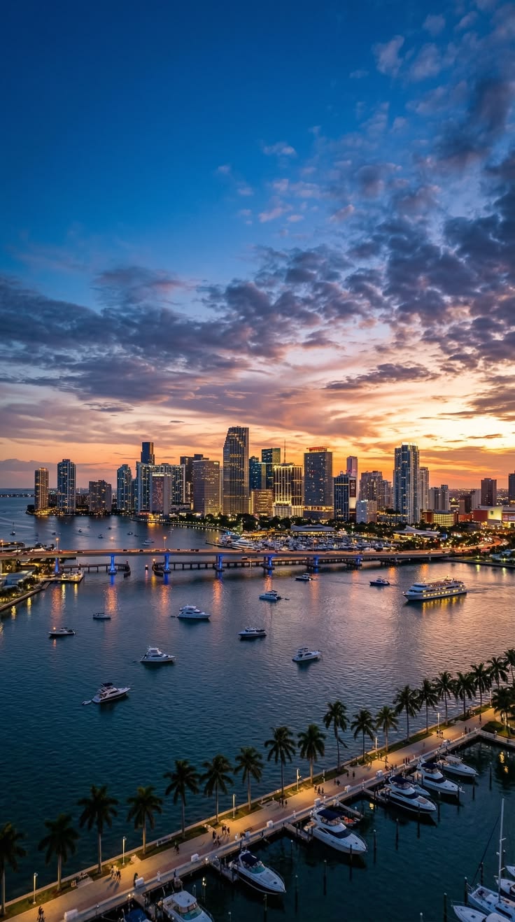 Miami skyline at sunset
